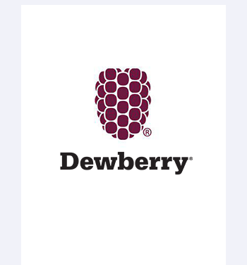 Dewberry Engineers